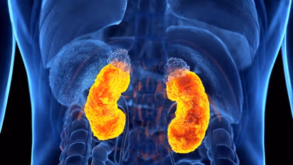 World Kidney Day 2023: 5 symptoms that indicate you may have a kidney disease