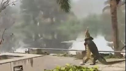 ಐಐಎಂ ಕಲ್ಕತ್ತ ಕ್ಯಾಂಪಸ್‌ನಲ್ಲಿ ವಿದ್ಯಾರ್ಥಿಗಳು.. ಅಲ್ಲಲ್ಲ.. ದೈತ್ಯ ಹಲ್ಲಿಗಳ ಕಾದಾಟ..! ವಿಡಿಯೋ ವೈರಲ್‌..  