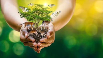 World Wildlife Day 2023:  മനുഷ്യനും വന്യജീവികളുടെ തമ്മിലുള്ള സംഘര്‍ഷകാലത്തെ ലോക വന്യജീവി ദിനാഘോഷം