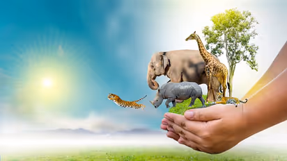 What is the theme of World Wildlife Day 2024?