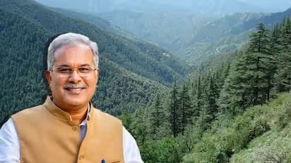 Special initiative in Chhattisgarh to encourage commercial tree-plantation