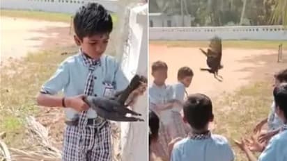 ಕಾಗೆಯನ್ನು ರಕ್ಷಿಸಿದ ಪುಟ್ಟ ಬಾಲಕನ ಕಾರ್ಯಕ್ಕೆ ಶ್ಲಾಘನೆ: ವಿಡಿಯೋ ವೈರಲ್