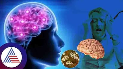 Kerala's Alappuzha reports rare case of amoebic brain illness