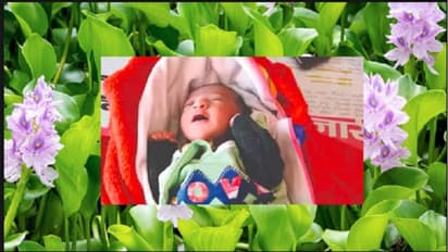 ಅಮ್ಮ ಕೆರೆಗೆಸೆದ ಮಗುವನ್ನು ರಕ್ಷಿಸಿದ ಲಿಲ್ಲಿಗಿಡಗಳು... ಬರೇಲಿಯಲ್ಲೊಂದು ಪವಾಡಸದೃಶ ಘಟನೆ