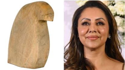 ನೂರ್ ರೂಪಾಯಿಗೆ ಇಂಥವ್‌ ಬೇಜಾನ್ ಸಿಗತ್ತೆ; ಗೌರಿ ಖಾನ್‌ ಡಿಸೈನ್‌ ಮಾಡಿದ ಪೆಂಗ್ವಿನ್‌‌ಗೆ ನೆಟ್ಟಿಗರ ಟೀಕೆ