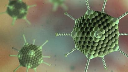 బెంగాల్ లో అడెనోవైరస్ కలకలం .. మాస్క్ తప్పని సరి చేసిన ప్రభుత్వం..