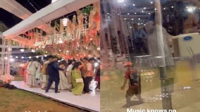 மேரேஜ் பார்ட்டிக்கு நடனமாடிய டெலிவரி பாய்… இணையத்தில் வைரலாகும் வீடியோ!!