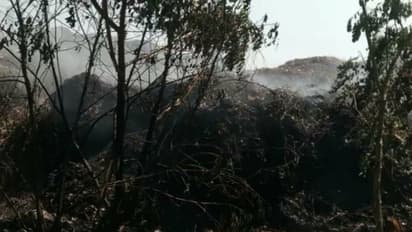 പാലക്കാട് ഇന്ന് രണ്ടിടത്ത് കാട്ടുതീ, വേനൽ കടുക്കുമ്പോൾ ആശങ്കയിൽ നാട്ടുകാർ