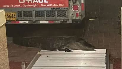 ശബ്ദം കേട്ട് വാതിൽ തുറന്നപ്പോൾ മുറ്റത്തൊരു മുതല; പിന്നീട് സംഭവിച്ചത്