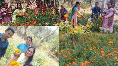 തരിശ്ശായി കിടന്ന ഭൂമി, ഇന്ന് പൂത്തുലഞ്ഞ ചെണ്ടുമല്ലി പാടം, ആദ്യവിളവിൽ വിറ്റ പത്ത് കിലോയിൽ നിറപറയൊരുങ്ങി!