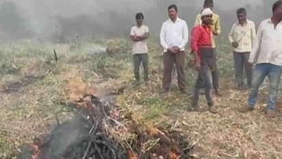 ഉള്ളിക്ക് വിലയിടിഞ്ഞു, ഒന്നരയേക്കർ പാടം കത്തിച്ച് കർഷകൻ; മുഖ്യമന്ത്രിക്ക് ചോരകൊണ്ടെഴുതിയ കത്ത്