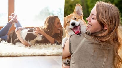  పెంపుడు కుక్కలు ఇలా ఎందుకు చేస్తాయో తెలుసా..?