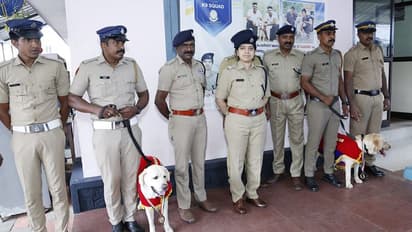 ജാമിയും ലിസിയും വീണ്ടും താരങ്ങളായി