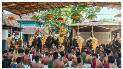 കൊമ്പനാനകളില്ല; ഏഴ് പിടിയാനകളുമായി ഇവിടെ പൂരം തകർക്കുകയാണ്..വീഡിയോ കാണാം