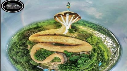 ತೆಲಂಗಾಣ: ಹಾವಿನ ರೂಪದಲ್ಲಿರೋ ಈ ನಾಗ ದೇಗುಲಕ್ಕೆ ಭೇಟಿ ನೀಡಲೇ ಬೇಕು!