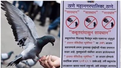 'ಪ್ರೀತಿಯ ಪಾರಿವಾಳ..' ಅಂತಾ ಹತ್ತಿರ ಹೋದ್ರೆ ಜೀವಕ್ಕೆ ಕುತ್ತು ಬಂದಿತು ಹುಷಾರ್!