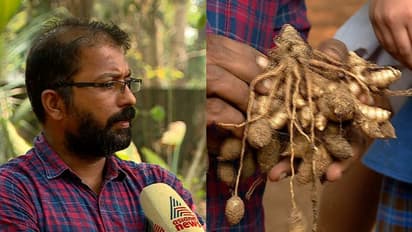 മുന്‍പുണ്ടാകാത്ത രീതിയില്‍ കൃഷിയില്‍ കൈപൊള്ളി മഞ്ഞൾ കർഷകൻ 