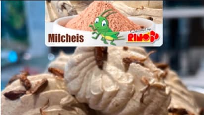 ಐಸ್ಕ್ರೀಂ ಮೇಲೆ ಡ್ರೈಫ್ರೂಟ್ ಅಲ್ಲ ಹುಳ ಹುಪ್ಪಟೆ.. ವಿಡಿಯೋ ನೋಡಿ