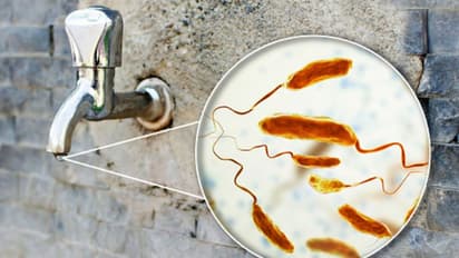 കാരക്കോടന് പുഴയില് മാലിന്യം; വഴിക്കടവില് കോളറ സ്ഥിരീകരിച്ചത് 12 പേര്ക്ക്, 35 പേര് നിരീക്ഷണത്തില്