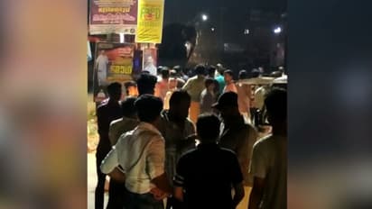 ചങ്ങനാശ്ശേരി തുരുത്തിയിൽ നാട്ടുകാരിൽ പരിഭ്രാന്തി പരത്തി 'വാഴപ്പള്ളി മഹാദേവൻ'