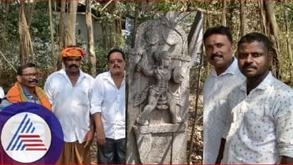 ಉಡುಪಿ: ದಟ್ಟಆಲದ ಮರದ ಕೆಳಗೆ ಗಜಗಾತ್ರದ ವೀರಗಲ್ಲು!