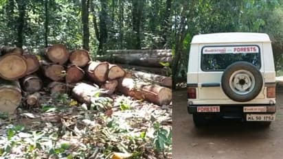 അരിക്കൊമ്പന് കൂടൊരുക്കാൻ തടി ഇറക്കിയതിനെ ചൊല്ലി തര്ക്കം: നോക്കുകൂലി ആവശ്യപ്പെട്ട് തൊഴിലാളി യൂണിയനുകൾ