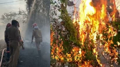 കുന്നംകുളത്ത് ഉണക്കപ്പുല്ലുകൾക്ക് തീപിടിച്ചു; തെങ്ങുകളും കവുങ്ങുകളും കത്തിയമർന്നു