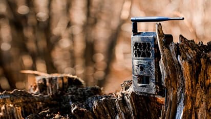 മൃഗങ്ങളുടെ കാടിറക്കം തടയാം, ഒപ്പം മൃഗവേട്ടയും; 'ക്യാമറ ട്രാപ്പു'മായി ഹാക്ക് ദി പ്ലാനറ്റ്