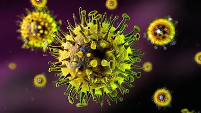 H3N2 ವೈರಲ್ ಸೋಂಕಿಗೆ ರಾಜ್ಯದಲ್ಲಿ ಮೊದಲ ಬಲಿ: ಮುನ್ನೆಚ್ಚರಿಕೆ ಕ್ರಮವಾಗಿ ಆರೋಗ್ಯ ತಪಾಸಣೆ