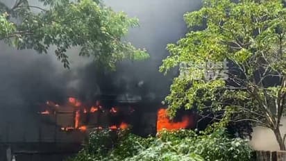 തൃശൂരിൽ ഗോഡൗണിൽ വൻ തീപിടുത്തം, നായ്ക്കുട്ടികൾ വെന്തുമരിച്ചു