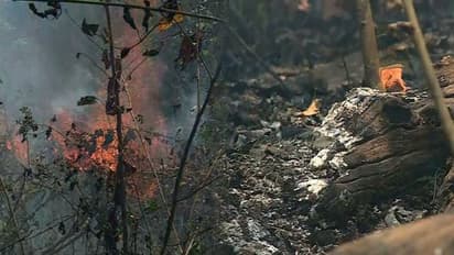 തൃശ്ശൂരിൽ കാട്ടുതീ; 100 ഏക്കറോളം വനഭൂമി കത്തി നശിച്ചു, നാലാം നാളും അണയാതെ  തീ