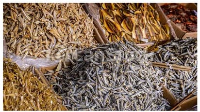 ഉണക്കമീൻ കടയിൽ മോഷണം; നഷ്ടപ്പെട്ടത് മുപ്പതിനായിരം രൂപ