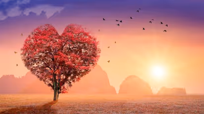 Coconut Water to Watermelon- 6 food items that are best for your heart in summers