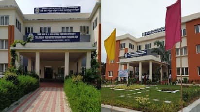 மீன்வள பல்கலைக்கழகத்தில் வேலைவாய்ப்பு... சம்பளம் எவ்வளவு தெரியுமா? விவரம் உள்ளே!!