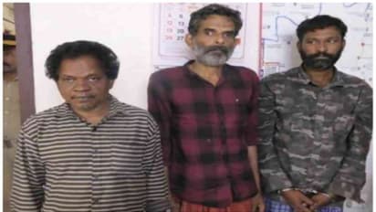 ഉത്സവ പറമ്പിൽ കളിപ്പാട്ടം വിൽക്കാനെത്തും, വീട് കണ്ടുവെച്ച് കൂട്ടാളികളുമായെത്തി മോഷണം; മൂന്നുപേർ അറസ്റ്റിൽ