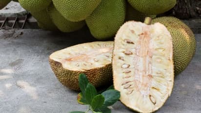 പ്രമേഹ രോഗികള്ക്ക് കഴിക്കാം പച്ച ചക്ക; അറിയാം മറ്റ് ഗുണങ്ങള്...