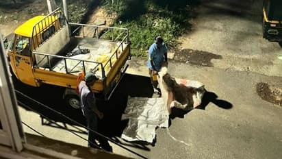 'പുക മാത്രമാണ് പ്രശ്നം എന്നാണോ കരുതിയത്? ഈ കാഴ്ച കാണേണ്ടിവന്നതില്‍  എനിക്ക് സ്വയം പുച്ഛം തോന്നുന്നു'; കുറിപ്പ്