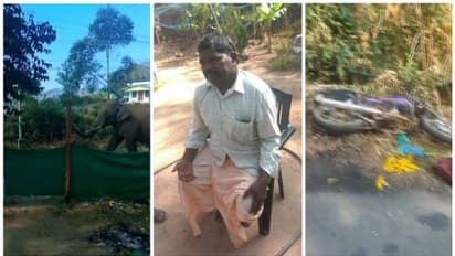 ഇടുക്കിയില് കാട്ടാനയെ കണ്ട് ഭയന്ന് ബൈക്കില് നിന്നും വീണ് ഒരാള്ക്ക് പരിക്ക്