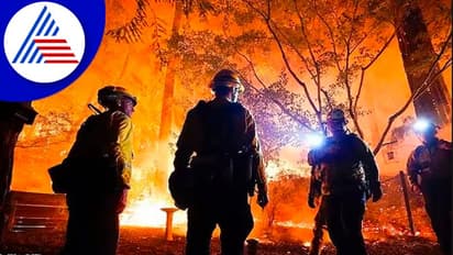 ಮಂಗಳೂರು: ಕಾಡ್ಚಿಚ್ಚಿಗೆ ಪಶ್ಚಿಮಘಟ್ಟದಲ್ಲಿ 250 ಎಕರೆ ಅರಣ್ಯ ಭಸ್ಮ