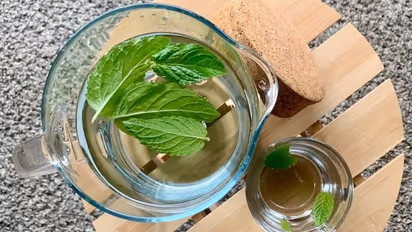 പുതിനയില ചേർത്തുള്ള വെള്ളം കുടിക്കുന്നത് ശീലമാക്കൂ, ​ഗുണങ്ങൾ ഇതൊക്കെയാണ്