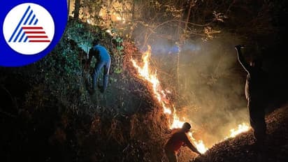 ಬೆಂಗ್ಳೂರಿನ ತುರಹಳ್ಳಿ ಅರಣ್ಯದಲ್ಲಿ ಕಾಡ್ಗಿಚ್ಚು: 20 ಎಕರೆ ಭಸ್ಮ