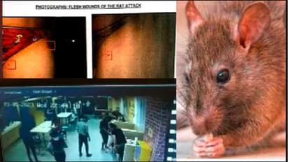 ಆಹಾರ ಸೇವಿಸುತ್ತಿದ್ದ ಬಾಲಕನಿಗೆ ಕಚ್ಚಿದ ಇಲಿ: ಹೈದರಾಬಾದ್ನ ಮೆಕ್ಡೊನಾಲ್ಡ್ನಲ್ಲಿ ಆಘಾತಕಾರಿ ಘಟನೆ