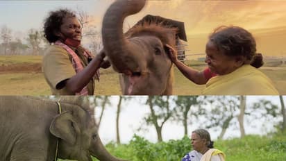 ದಿ ಎಲಿಫ್ಯಾಂಟ್ ವಿಸ್ಪರ್ಸ್ನ ಬೆಳ್ಳಿಗೆ ಸರ್ಕಾರಿ ಕೆಲಸ: ಬೆಳ್ಳಿ ಈಗ ತಮಿಳುನಾಡಿನ ಮೊದಲ ಮಹಿಳಾ ಕಾವಡಿ