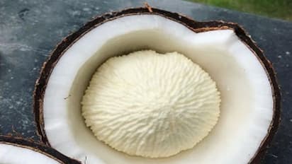 வெயில் காலத்தில் 1 'தேங்காய் பூ' சாப்பிடுங்க! இந்த 'பூ'வுக்கு பல நோய்களை விரட்டி அடிக்கும் மகிமை இருக்கு