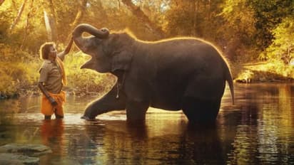 ഓസ്‌കാര്‍ നേടിയ ആന ഡോക്യുമെന്ററി; നട്ടെല്ലായി പ്രവര്‍ത്തിച്ച മലയാളി!