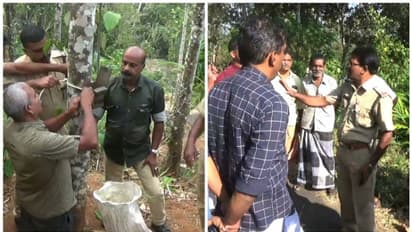 പുലിയെ പിടിക്കാൻ ക്യാമറ ട്രാപ്പ്, ഇടുക്കി മാലിക്കിത്തിൽ വനംവകുപ്പ് നടപടി തുടങ്ങി