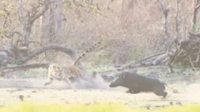 ಕನ್ನಡಪ್ರಭದ ಅನುರಾಗ್ ಛಾಯಾಚಿತ್ರಕ್ಕೆ 2 ಚಿನ್ನ, 1 ಬೆಳ್ಳಿ ಪದಕ