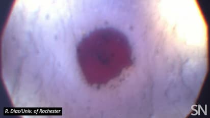 Reddmatter: உலகையே மாற்றி அமைக்கும் ரெட் மேட்டர் சூப்பர் கண்டக்டர் கண்டுபிடிப்பு!