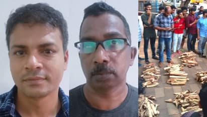 കാറിലെ രഹസ്യ അറിയില്‍ ഒളിപ്പിച്ചത് ഒരു ക്വിന്‍റല്‍ ചന്ദനം, മലപ്പുറത്ത് 2 പേര്‍ പിടിയില്‍