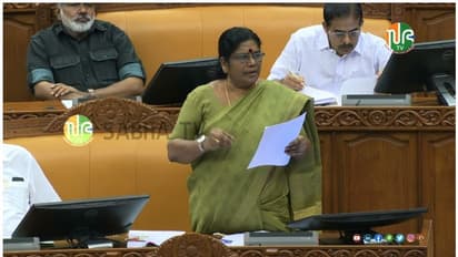 ചർമമുഴ വന്ന പശുക്കള്‍ക്ക് സൗജന്യ ചികിത്സ, കാലിത്തീറ്റയിലെ മായം തടയാൻ ബിൽ; നിയമസഭയിൽ മന്ത്രി